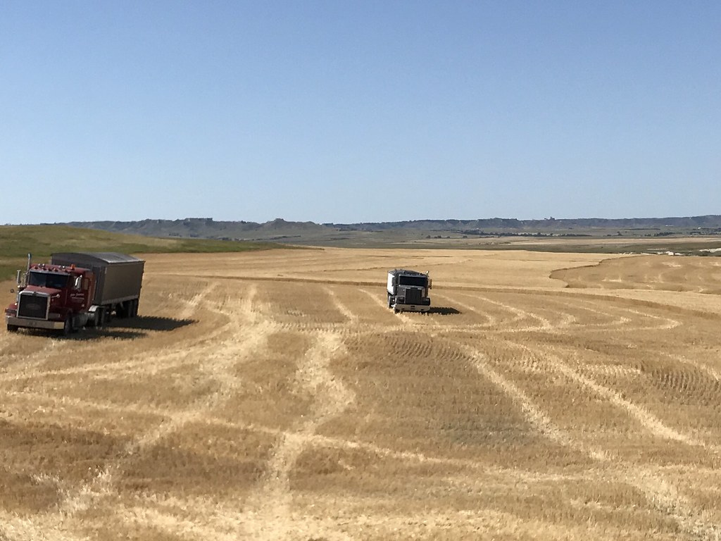 Z Crew: Because it's what harvestera do.