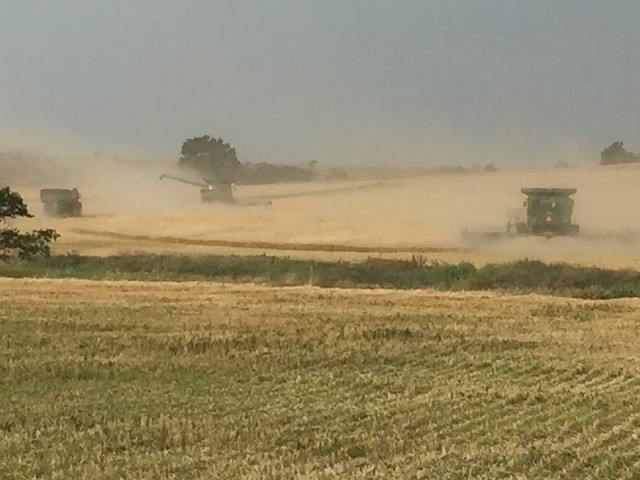 Schemper 2017 - Kansas Wheat Harvest