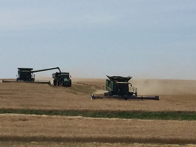 Schemper 2017 - Kansas Wheat Harvest