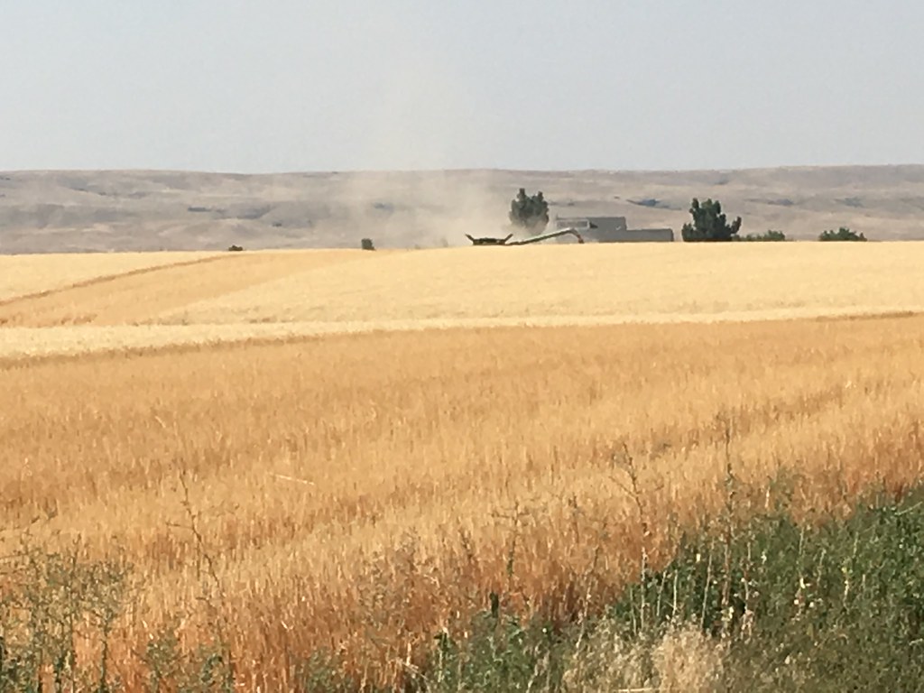 High Plains Harvesting 2017 (Mark)