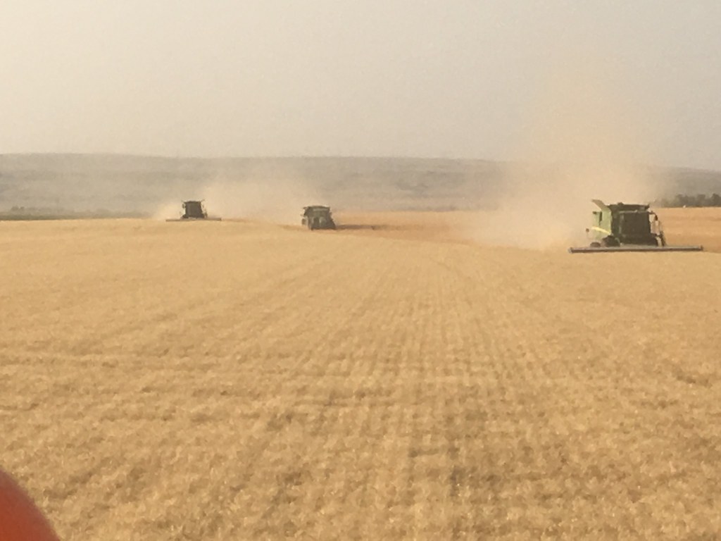 High Plains Harvesting 2017 (Mark)