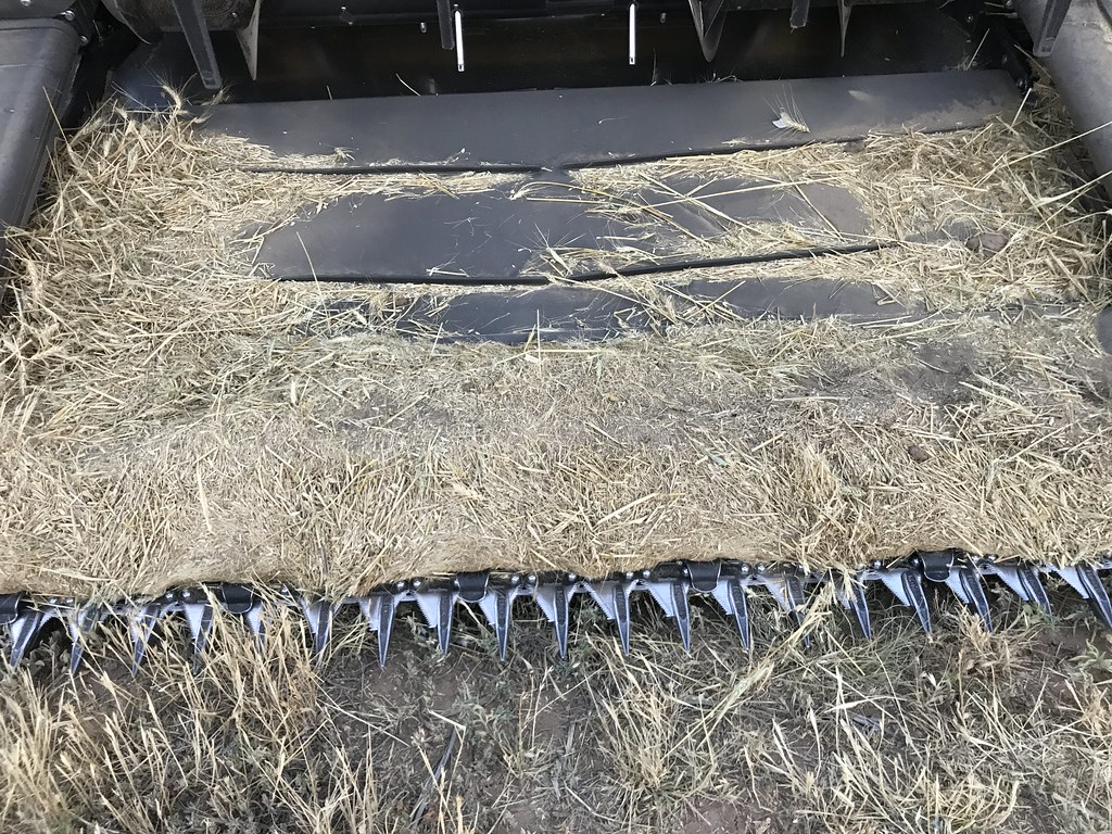 Z Crew: Because it's what harvesters do!