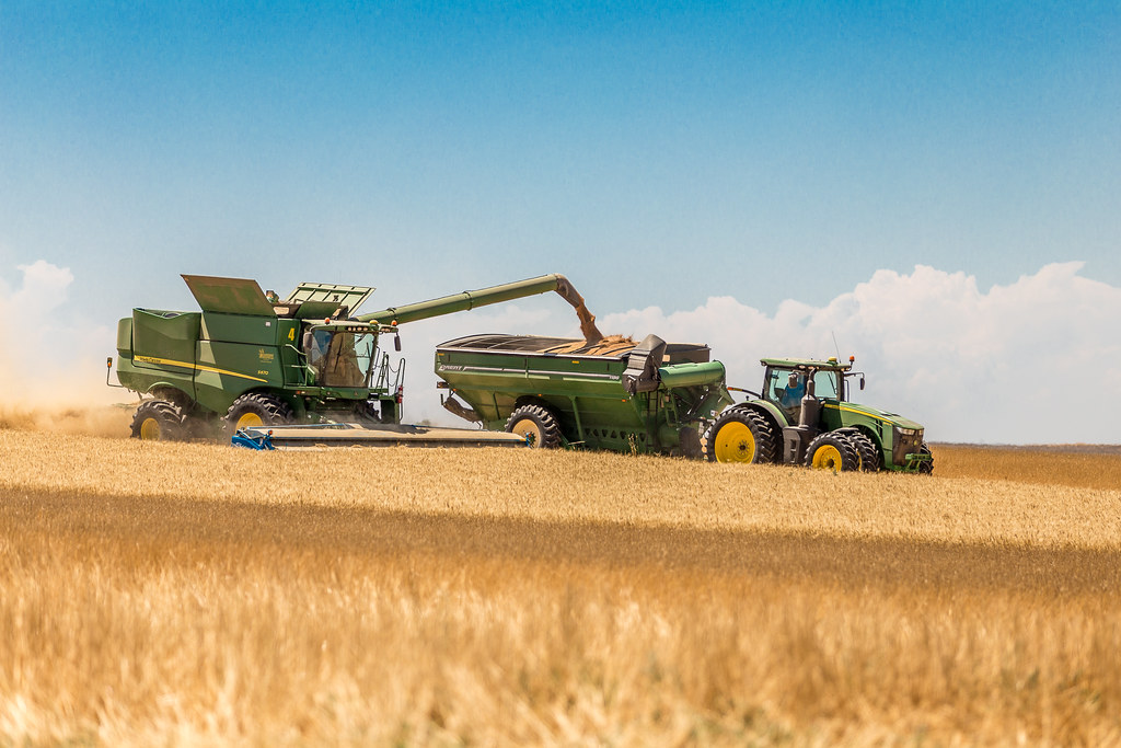 High Plains Harvesting (Laura)