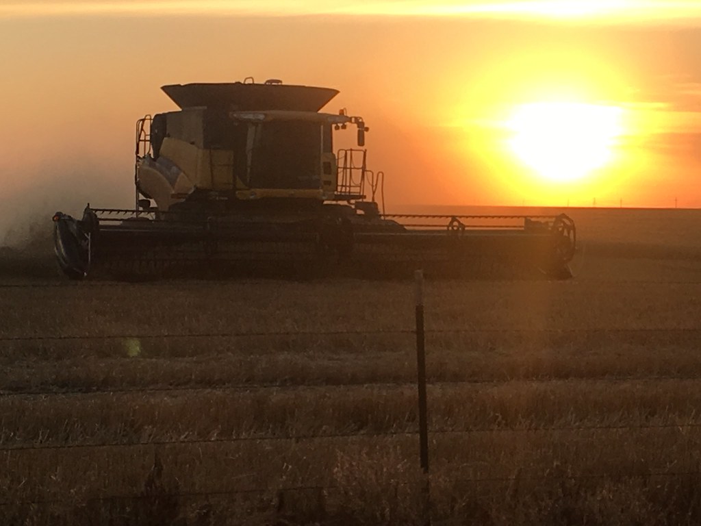 Z Crew: Because it's what harvesters do!