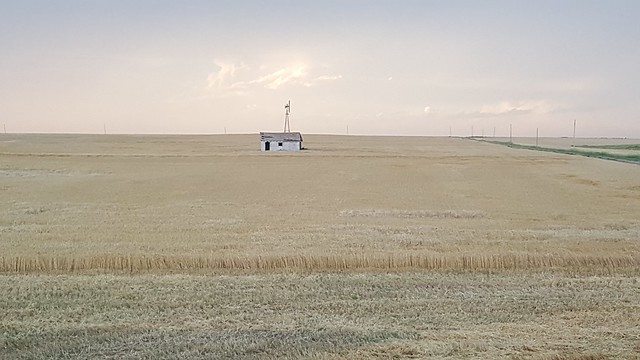 Schemper 2017 - Kansas Wheat Harvest