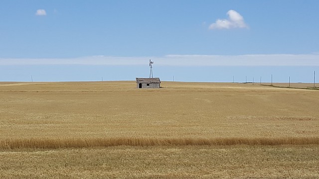 Schemper 2017 - Kansas Wheat Harvest