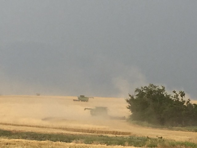 Schemper 2017 - Kansas Wheat Harvest