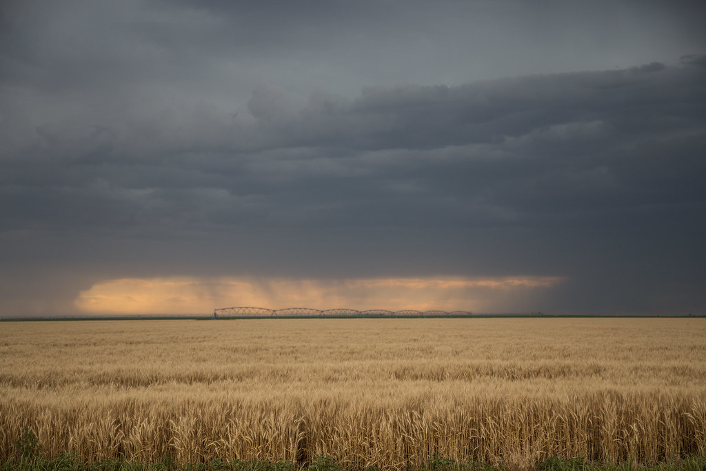 High Plains Harvesting (Photo Credit: Laura)
