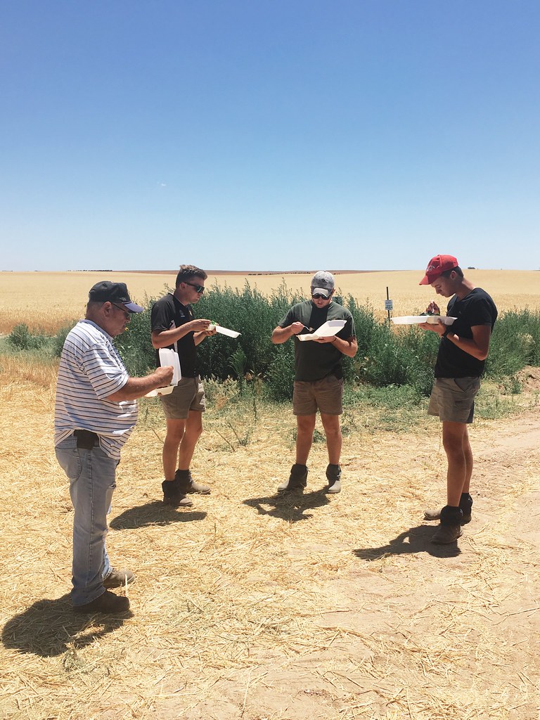 High Plains Harvesting 2017 (Laura)