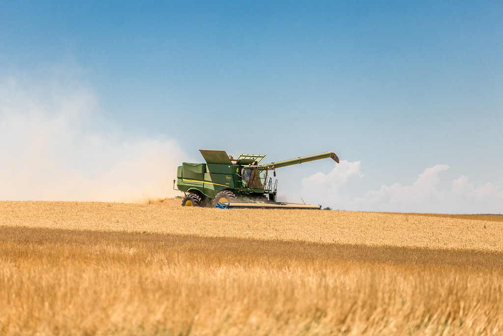 High Plains Harvesting (Laura)