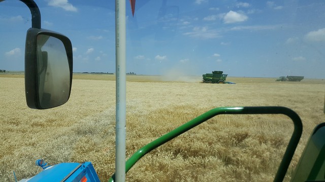 Schemper 2017 - Kansas Wheat Harvest