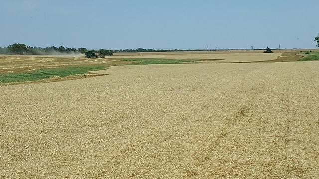 Schemper 2017 - Kansas Wheat Harvest