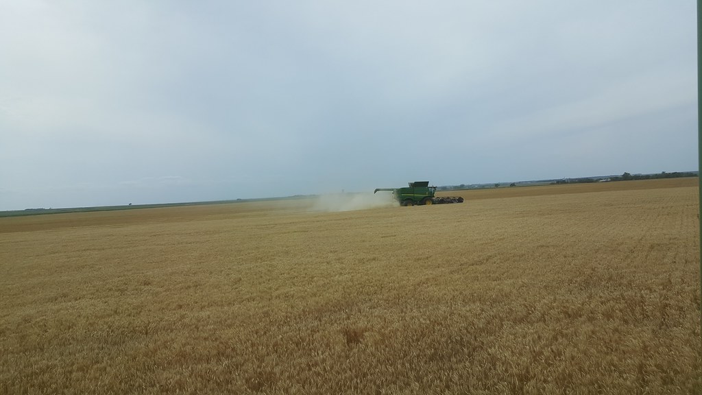 Schemper 2017 - South Dakota Wheat Harvest