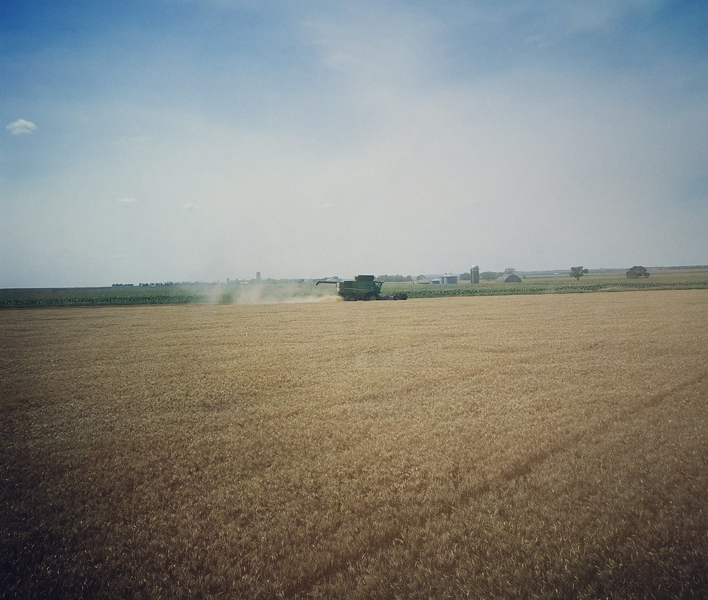 Schemper 2017 - South Dakota Wheat Harvest