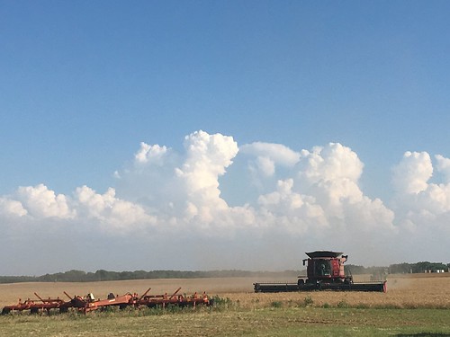 Those clouds are awesome.
