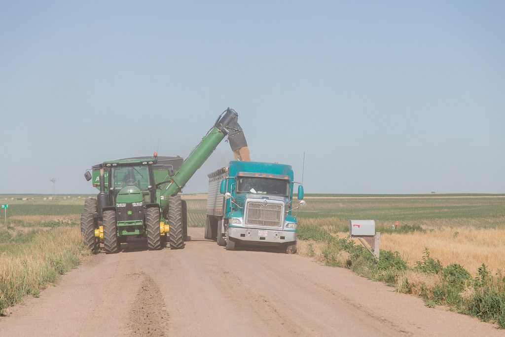 High Plains Harvesting - Laura