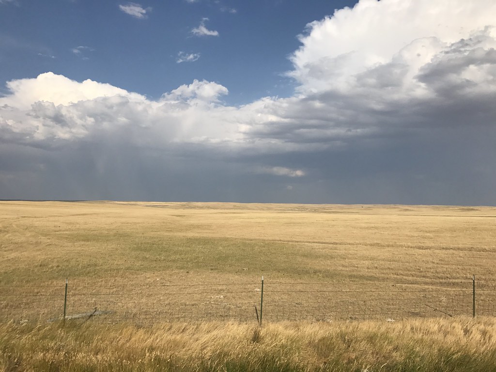 Z Crew: Because it's what Harvesters do.