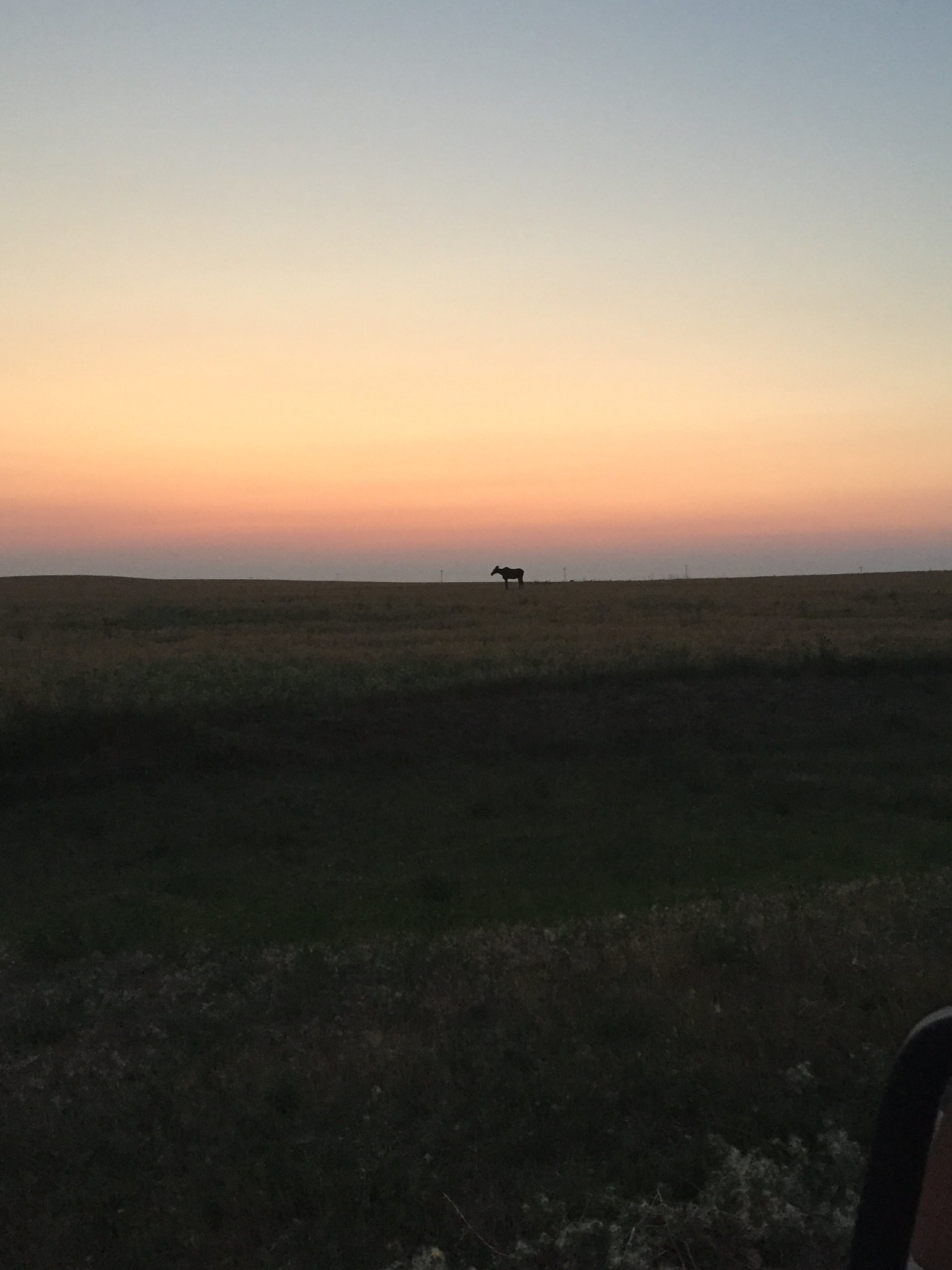 High Plains Harvesting 2017 (Ryan)