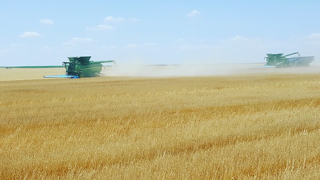 Schemper 2017 - Kansas Wheat Harvest