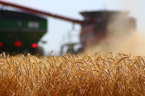 Unloading on the go.