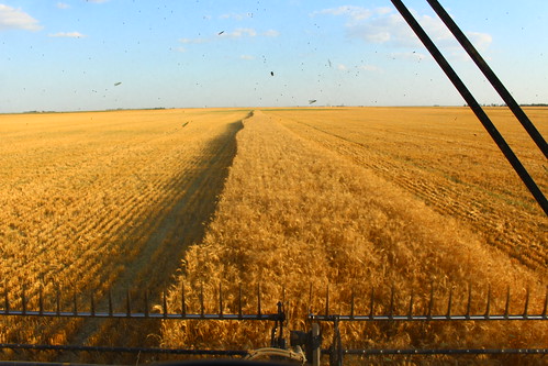 When you try to take a selfie with no autosteer, this is the outcome.