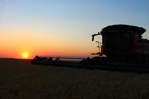 Gorgeous sunset. I literally stopped the combine for some shots.