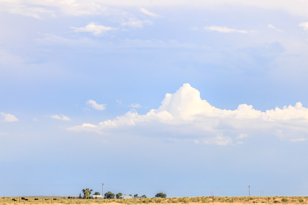 High Plains Harvesting (2017-Laura)