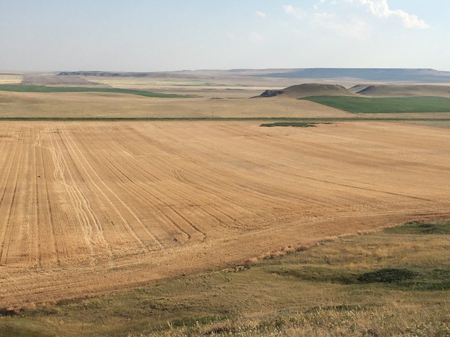 High Plains Harvesting - Mark 2017