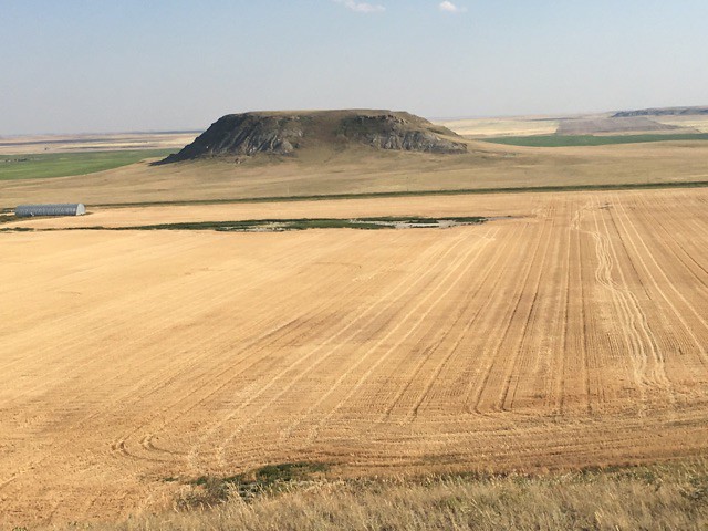 High Plains Harvesting - Mark 2017