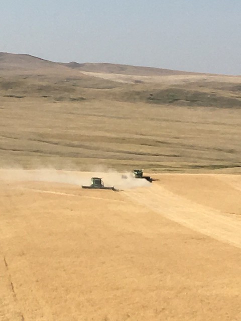 High Plains Harvesting - Mark 2017