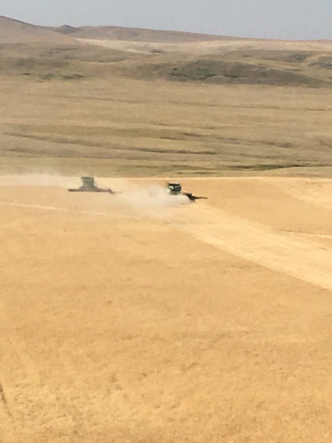High Plains Harvesting - Mark 2017