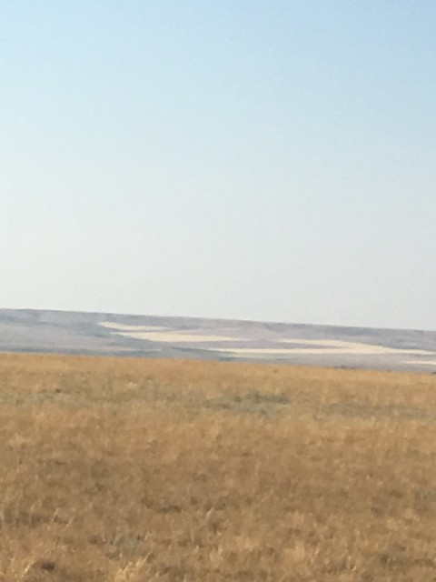 High Plains Harvesting - Mark 2017