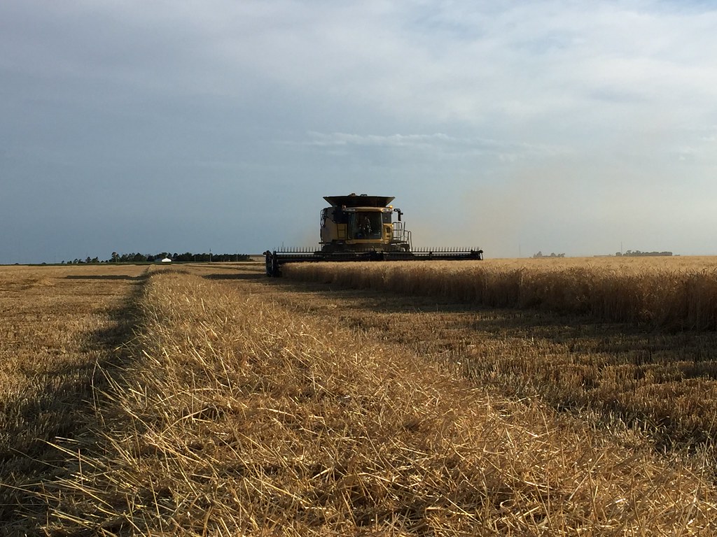 Z Crew: Because it's what harvesters do!