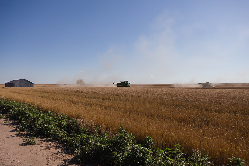 High Plains Harvesting (Laura)