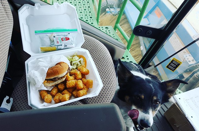 Schemper 2017 - Kansas Wheat Harvest