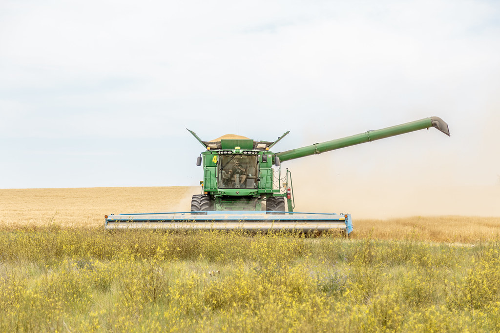High Plains Harvesting (Laura)