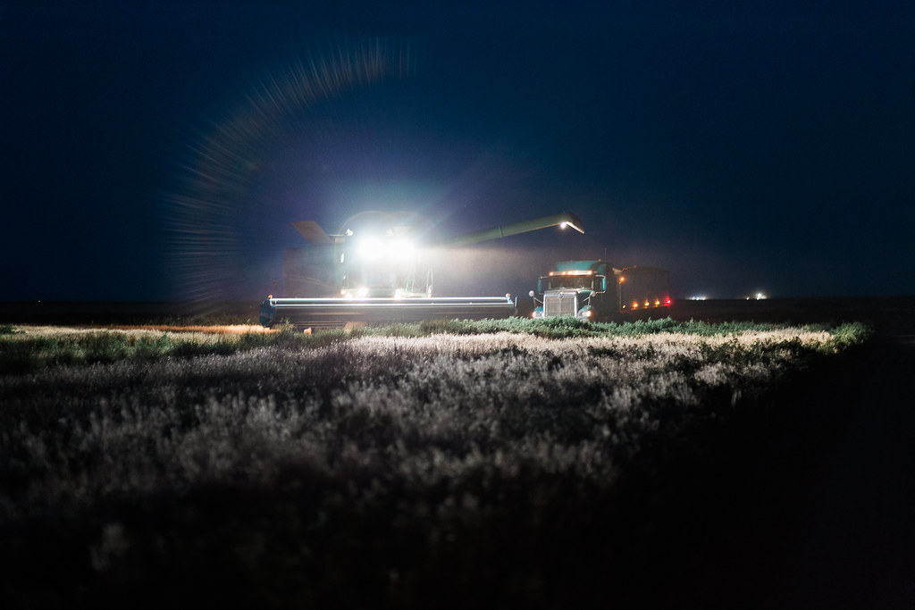 High Plains Harvesting (Laura)