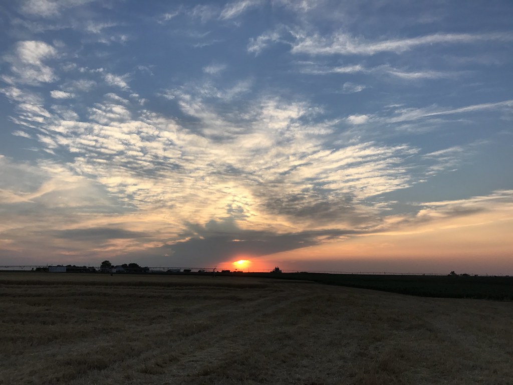 Z Crew: Because it's what harvesters do!