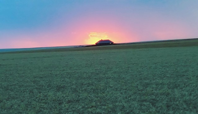 Schemper 2017 - Kansas Wheat Harvest