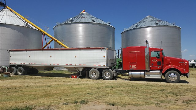 Schemper 2017 - Colorado Wheat Harvest
