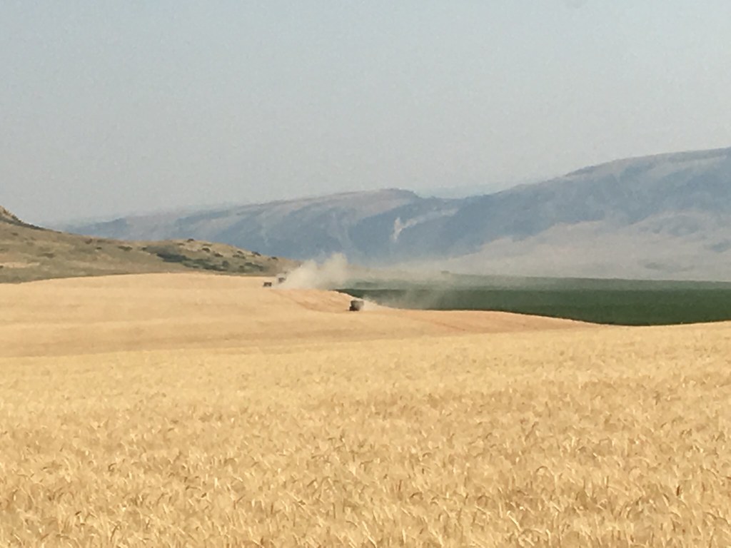 High Plains Harvesting 2017 (Mark)