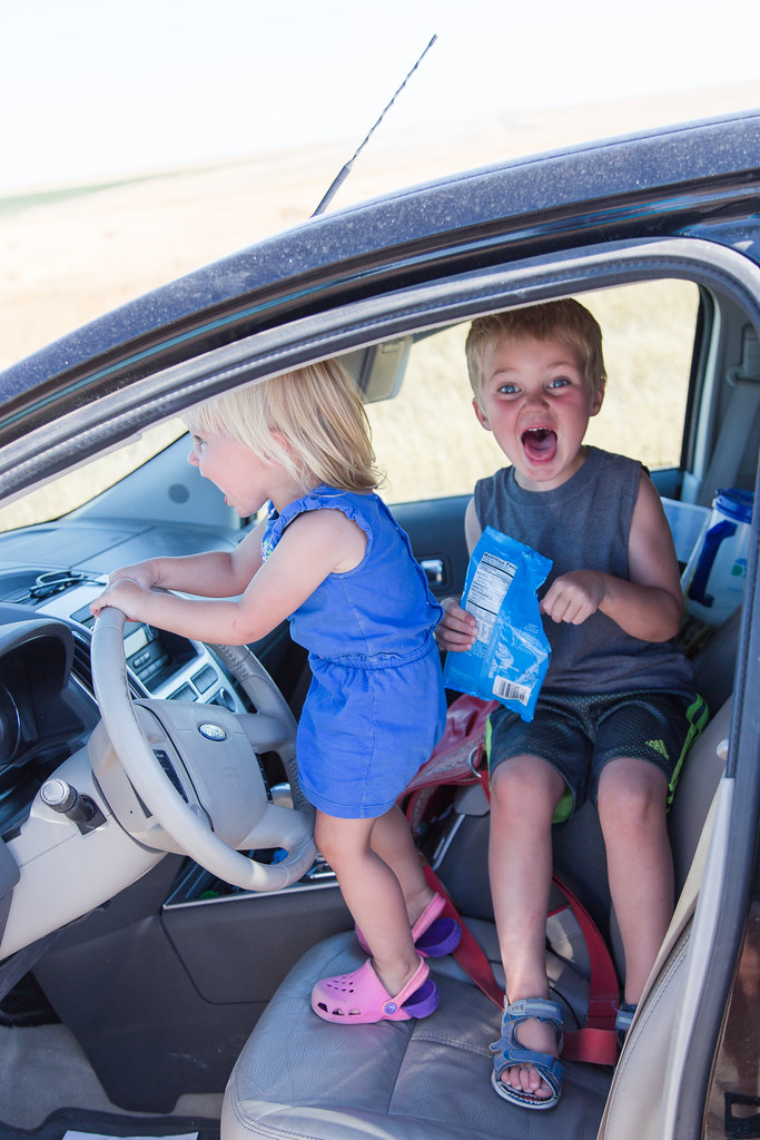 High Plains Harvesting - Laura