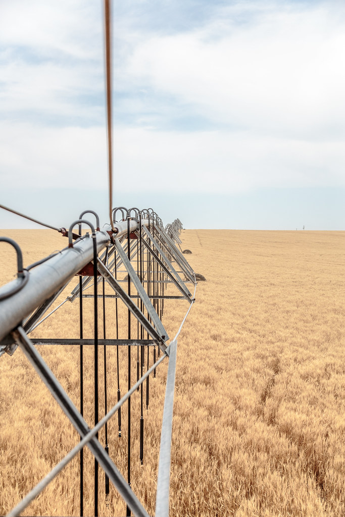 High Plains Harvesting (Laura)