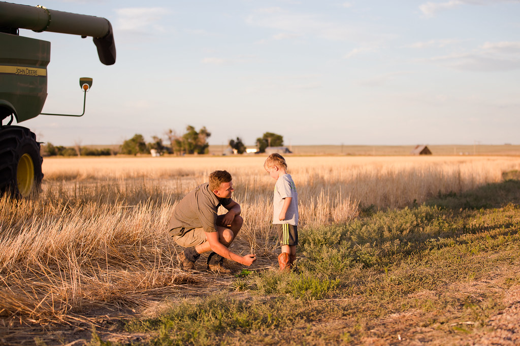 High Plains Harvesting (2017-Laura)