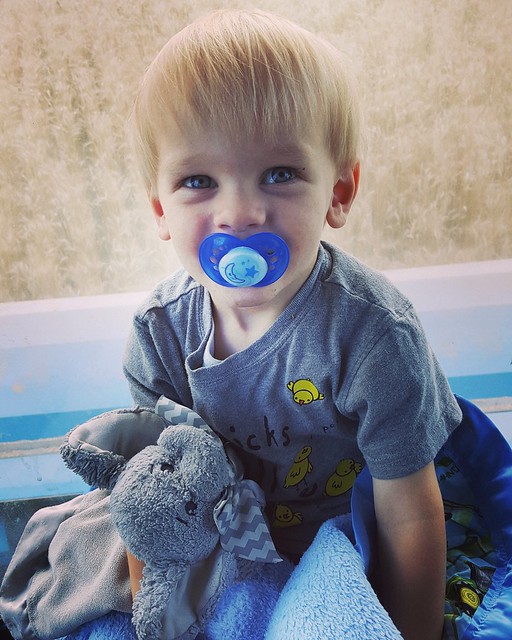 Schemper 2017 - Kansas Wheat Harvest