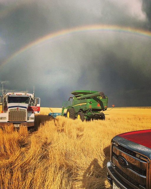 Schemper 2017 - Western Nebraska Wheat Harvest