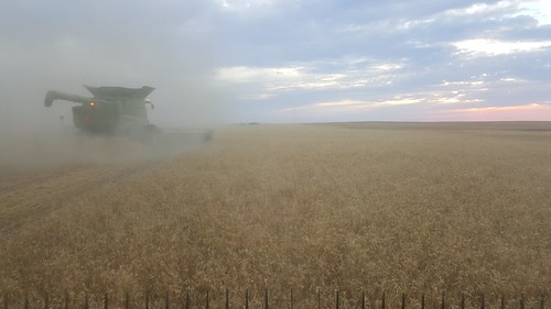 Schemper 2017 - Western Nebraska Wheat Harvest
