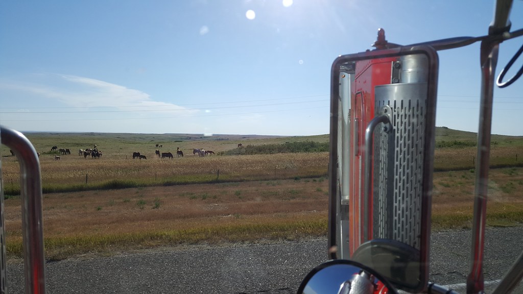 Schemper 2017 - South Dakota Wheat Harvest