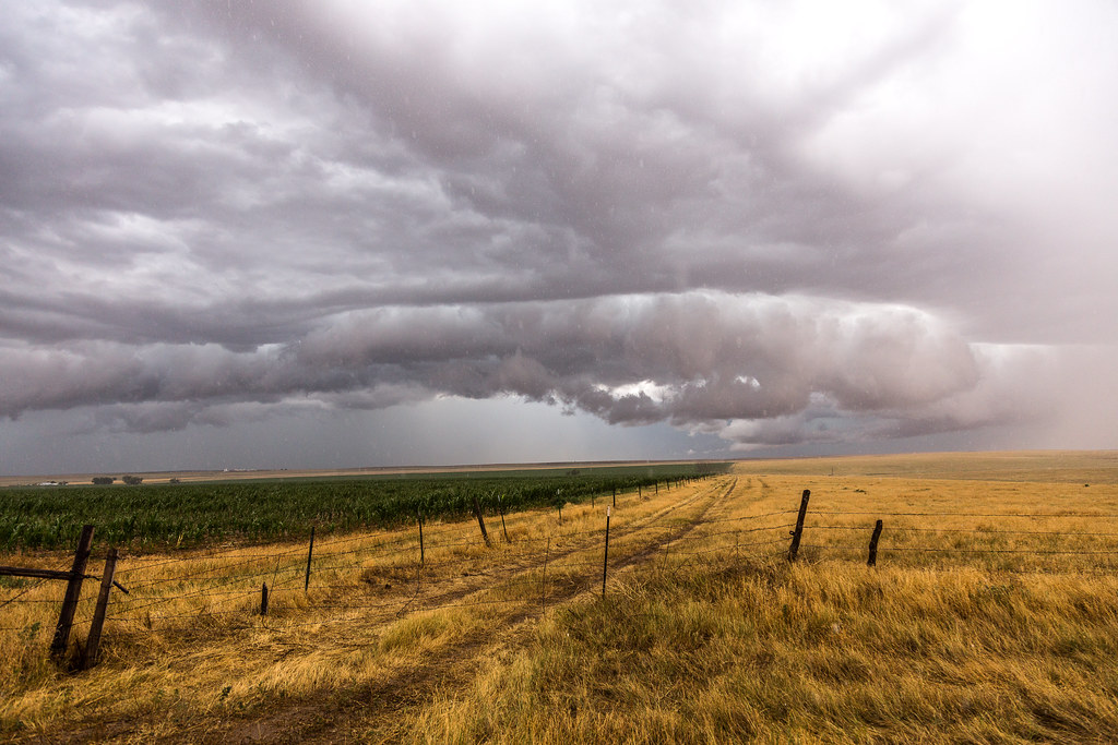 High Plains Harvesting 2017 (Laura)
