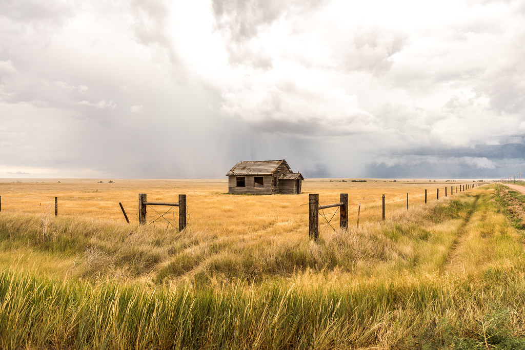 High Plains Harvesting 2017 (Laura)